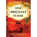 One Brilliant Flame