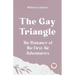The Gay Triangle The Romance Of The First Air Adventurers