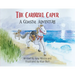 The Carousel Caper: A Coastal Adventure