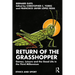 Return of the Grasshopper: Games, Leisure and the Good Life in the Third Millennium