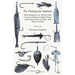 Fly Fishing for Salmon - With Chapters On: Which Flies to Use and How to Make Them and Instructions on How and Where to Fish