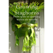 Growing Staghorns from Spore