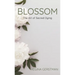 Blossom: The Art of Sacred Dying