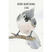 Bird Watching Log Book For Kids: Field Notes For Backyard Birders, Birding Journal For Young Children And Adults, Bird Watchers Notebook, Tracking And