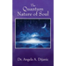 The Quantum Nature of Soul