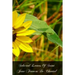 Selected Letters Of Saint Jane Frances De Chantal