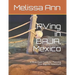 RVing in BAJA, Mexico: A Must Have Guide for Planning Your Baja RV Adventure