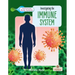 Investigating the Immune System
