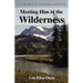 Meeting Him in the Wilderness: A True Story of Adventure and Faith