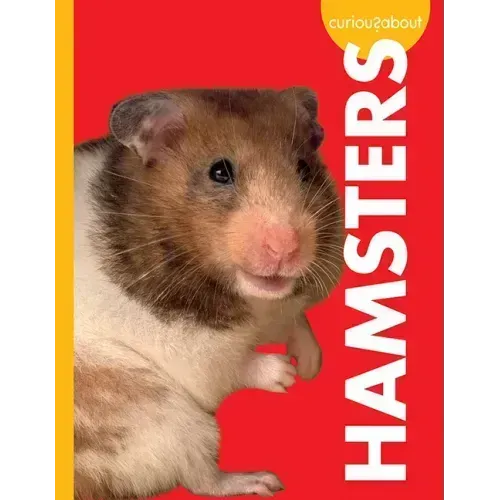 Curious about Hamsters