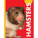Curious about Hamsters