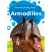 Armadillos