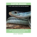 Garter Snakes: Garter Snakes General Info, Purchasing, Care, Cost, Keeping, Health, Supplies, Food, Breeding and More Included! A Pet