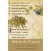 Marie de France: A Critical Companion