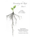 Venerating The Root: Part 1