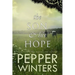 The Son & His Hope
