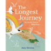 The Longest Journey: An Arctic Tern's Migration