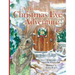 A Bunny's Christmas Eve Adventure