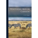 Wintering Bees in Canada