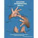 Building Interpreting Skills: A Scaffolding Plan to Enhance Your English to ASL Interpreting Qualifications