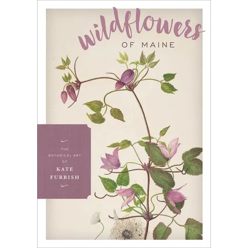Wildflowers of Maine