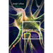Synaptic Self: How Our Brains Become Who We Are