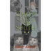 Ghost Cats of the South