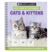 Brain Games - Sticker by Number: Cats & Kittens (Easy - Square Stickers): Create Beautiful Art with Easy to Use Sticker Fun!