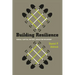 Building Resilience: Social Capital in Post-Disaster Recovery