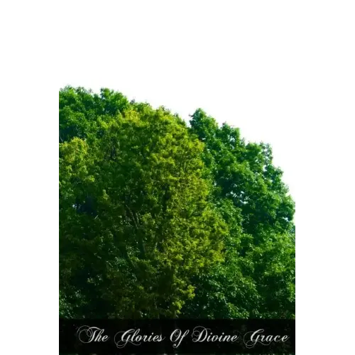 The Glories Of Divine Grace
