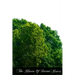 The Glories Of Divine Grace