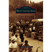 Troy's Little Italy
