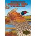 Pheasant Hunt: On the Prowl in Iowa: On the Prowl in Iowa