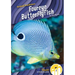 Foureye Butterflyfish