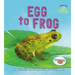 Egg to Frog