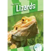 Lizards