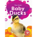 Baby Ducks