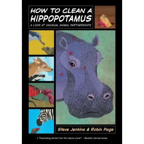 How to Clean a Hippopotamus: A Look at Unusual Animal Partnerships