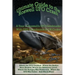 Ultimate Guide to the Roswell UFO Crash: A Tour of Roswell's UFO Landmarks