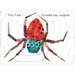La Araña Muy Ocupada