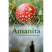 Amanita