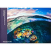 Two Worlds: Above and Below the Sea