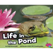 Life in the Pond