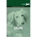The Saluki - A Complete Anthology of the Dog