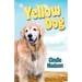 Yellow Dog