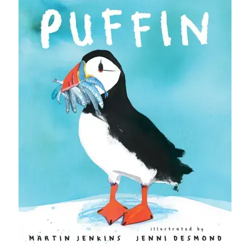 Puffin