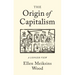 The Origin of Capitalism: A Longer View