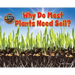 Why Do Most Plants Need Soil?