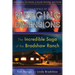 Merging Dimensions: The Opening Portals of Sedona