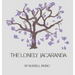 The Lonely Jacaranda